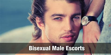 escort gays|The Male Escort Agency